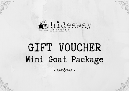Goat Tour Gift Voucher from Hideaway Farmlet Penguin Tasmania